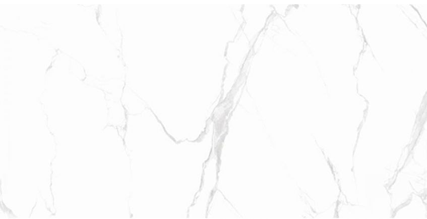 Classic Carrara Rettificato Gloss 60x120 cm